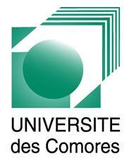 Logo IUT gauche